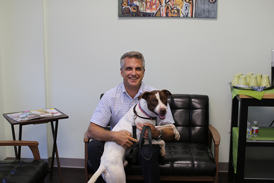 Falcon Pass Animal Hospital, HOuston, TX Tour Our Hospital